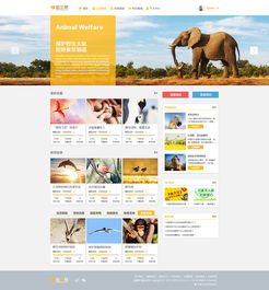 網站設計 從構思到實現的設計稿之旅